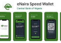 E-Naira Wallet: How to Fund and Spend